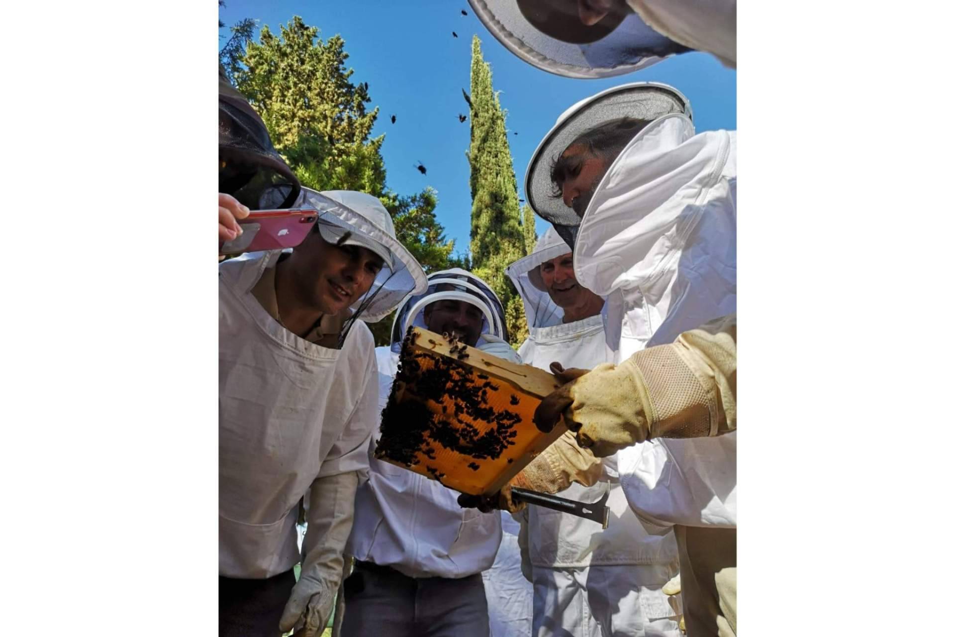¿Cuál es el rol de las abejas para la seguridad alimentaria y la vida saludable?, por Cursos de Apicultura
