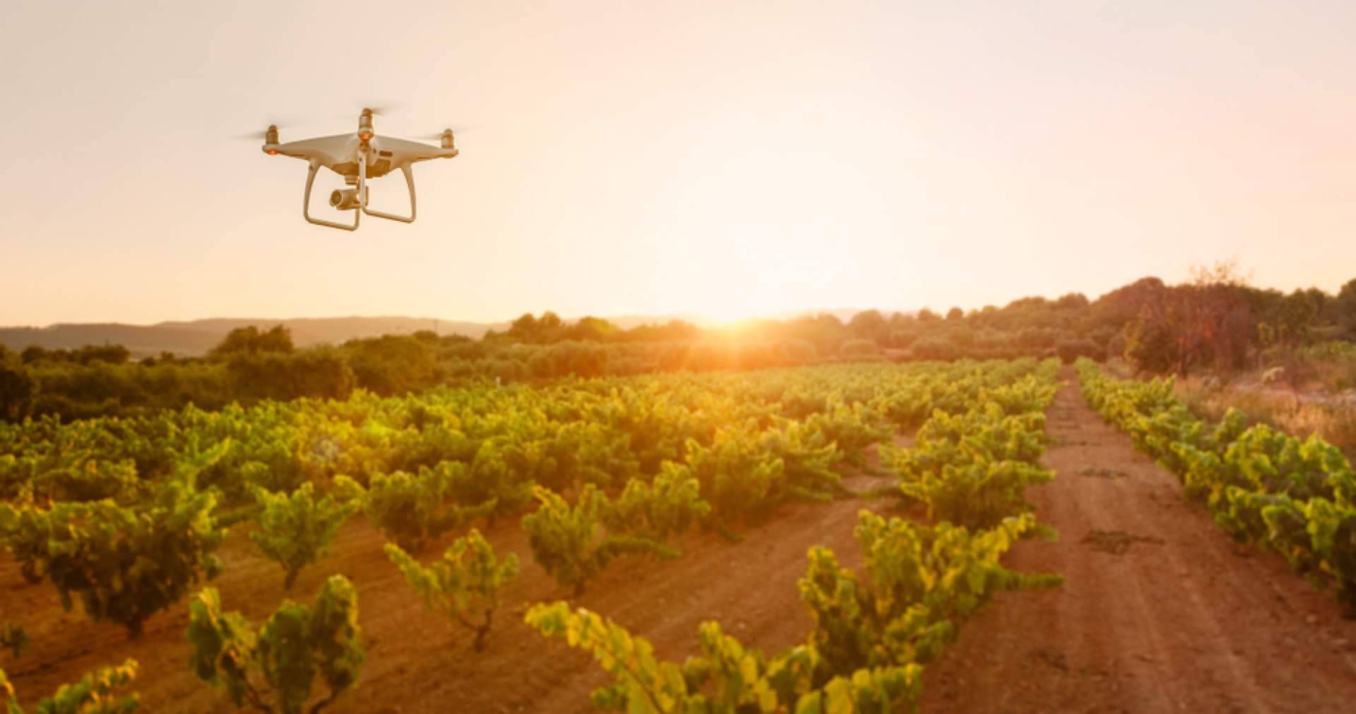 Proceso de obtención de licencias para el uso de drones, con What The Quad
