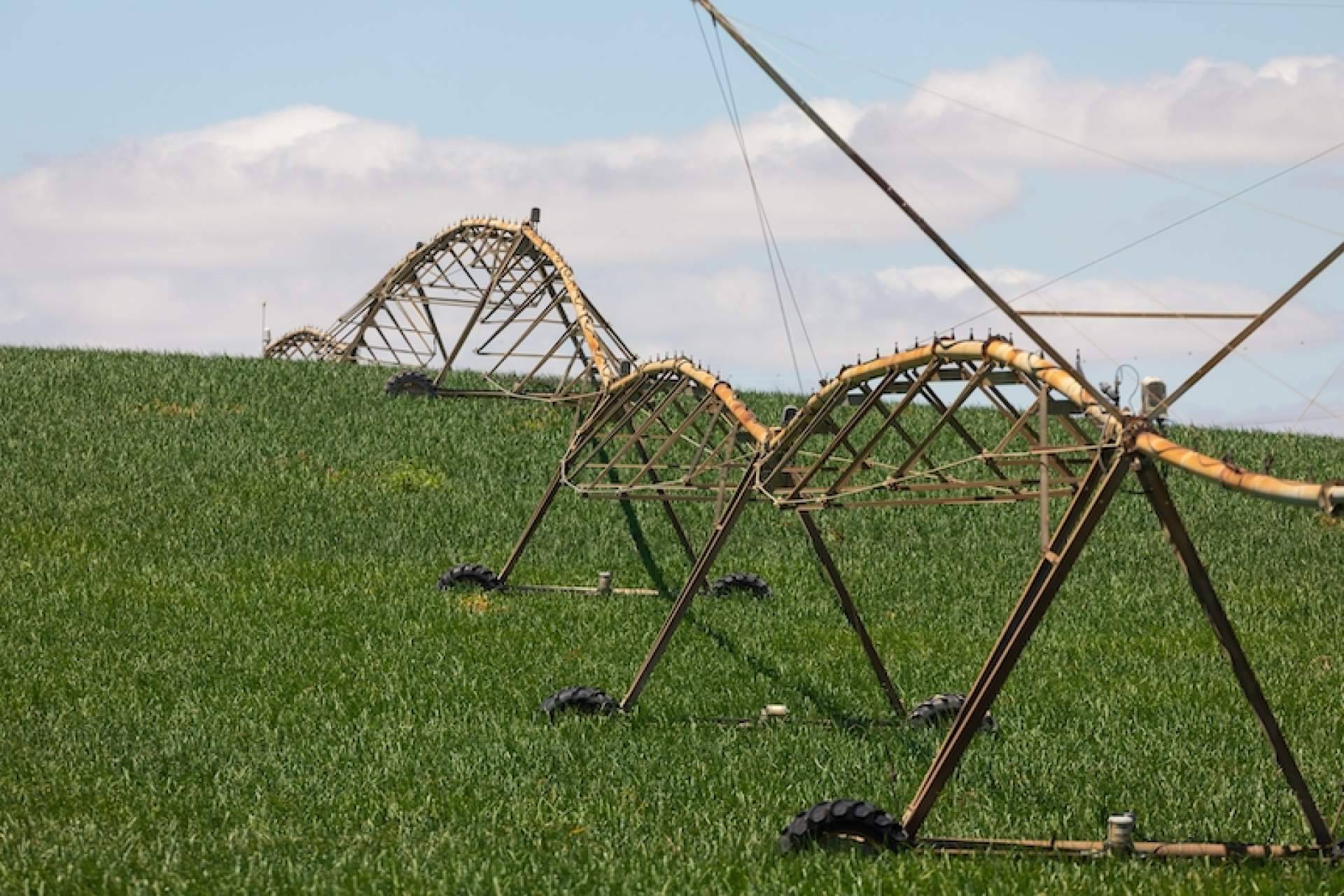 ¿Qué significa la agricultura extensiva?