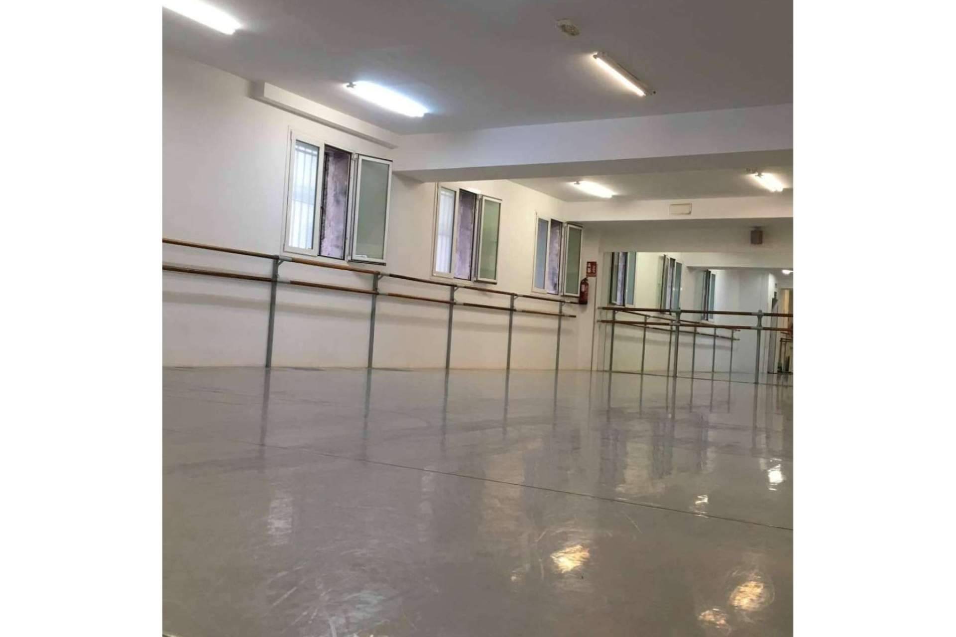 ¿Cuáles son los cursos que ofrece la Escuela de Ballet Carmina Ocaña y Pablo Savoye?