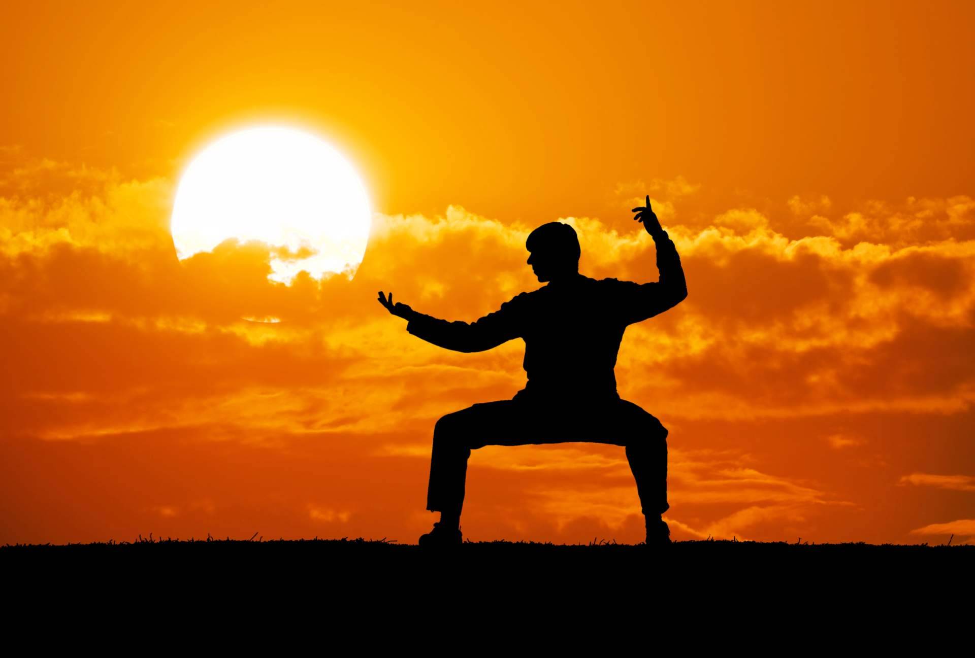 Información sobre el Kung Fu Shaolin Norteño o Bei Shaolin