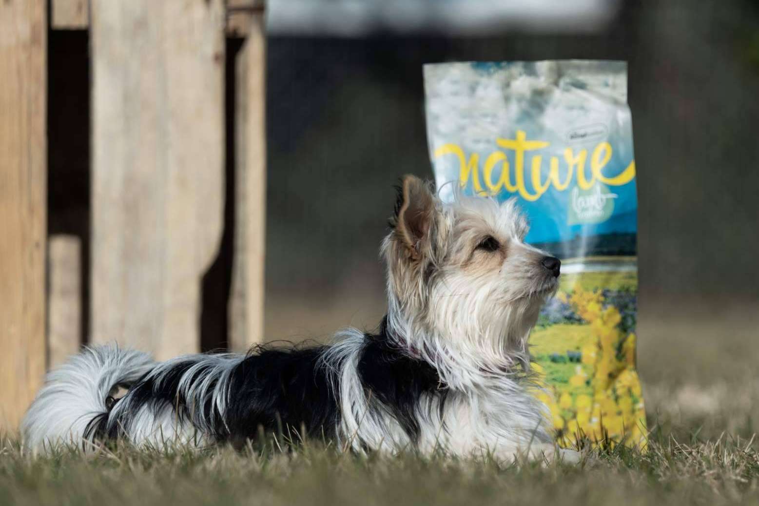 ¿Dónde encontrar pienso para perros hipoalergénico? Satisfaction y su gama Nature