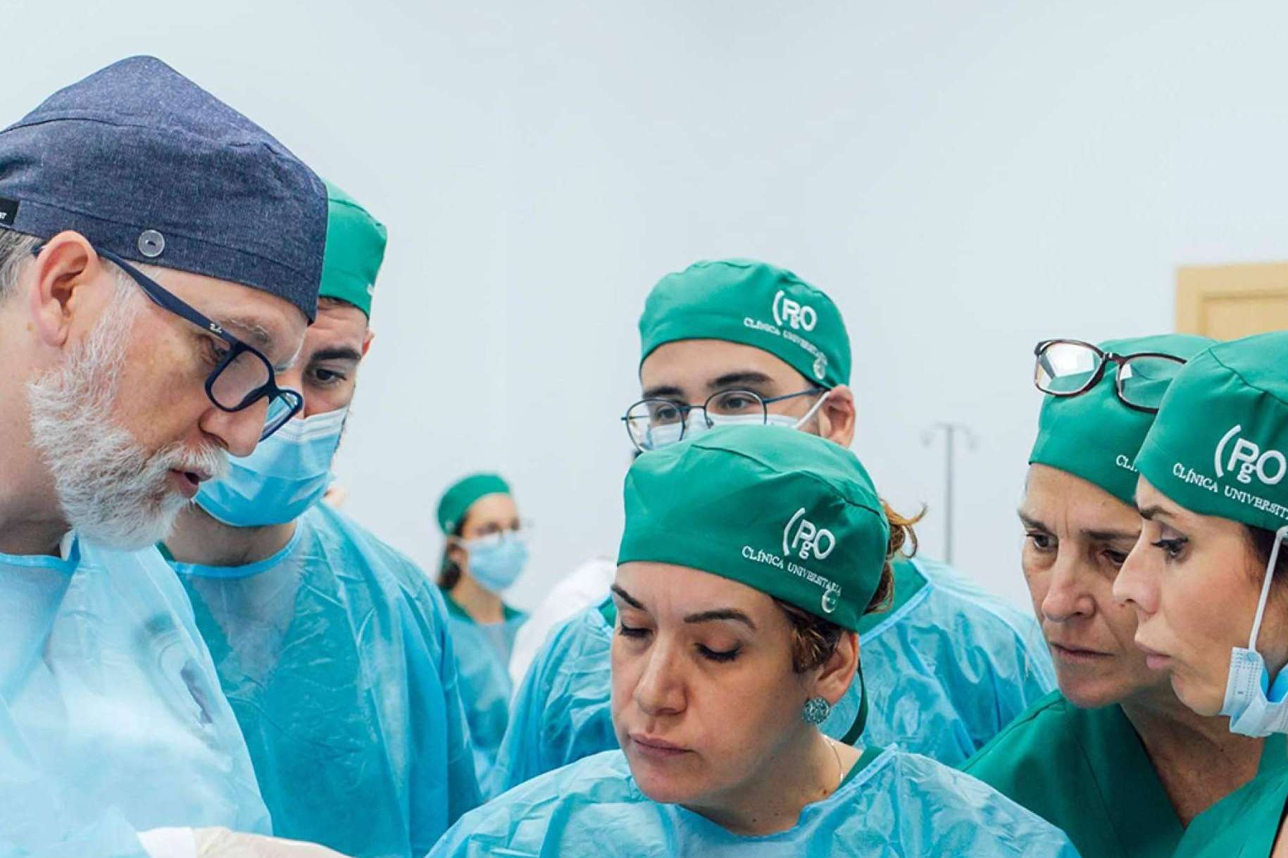 PgO Veterinaria ofrece formación de postgrado de calidad