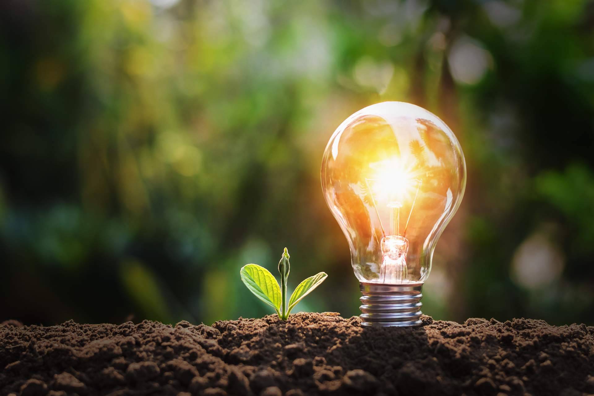 The Reason Behind permite estar al día sobre las últimas noticias de las energías renovables