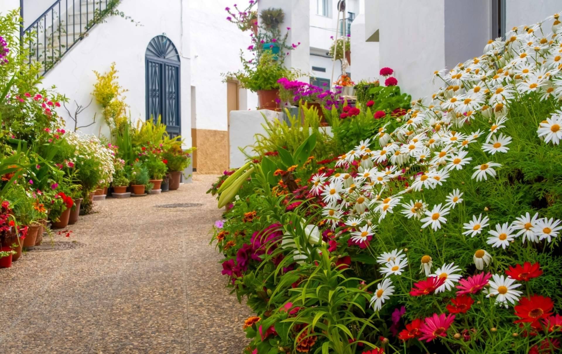 Vacalia ayuda a alquilar un apartamento en setiembre en Cádiz