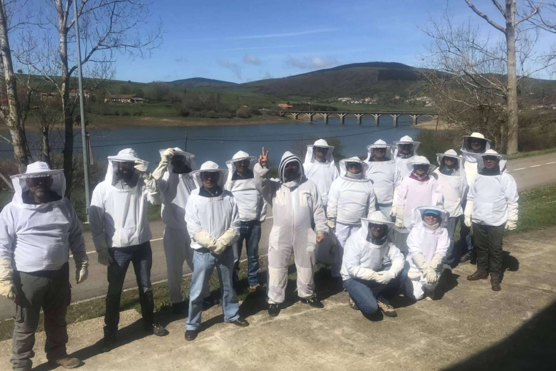 ¿En qué consiste la apiterapia con apitoxina?, por Cursos Apicultura