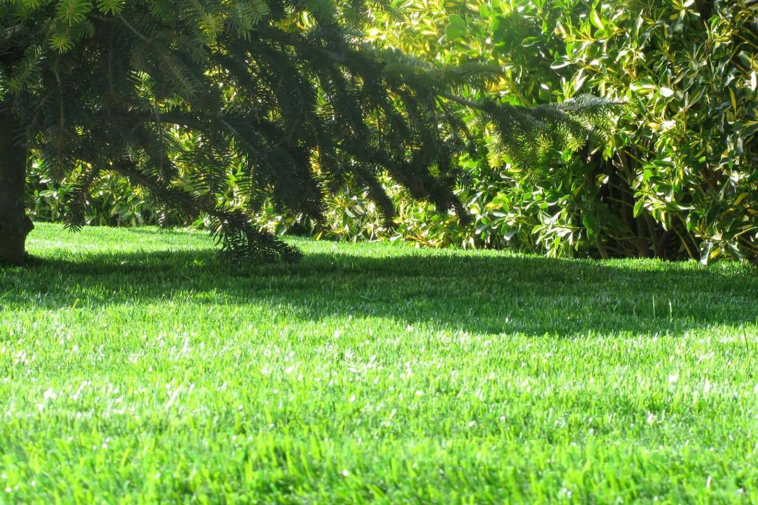 ¿Cómo decorar el jardín con césped artificial? Albergrass