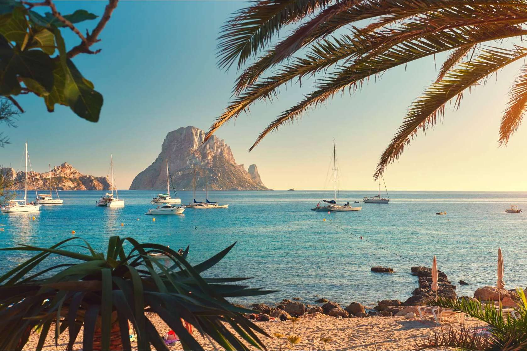 Alpha VIP Transfer, un servicio para ir a los planes de Ibiza en otoño