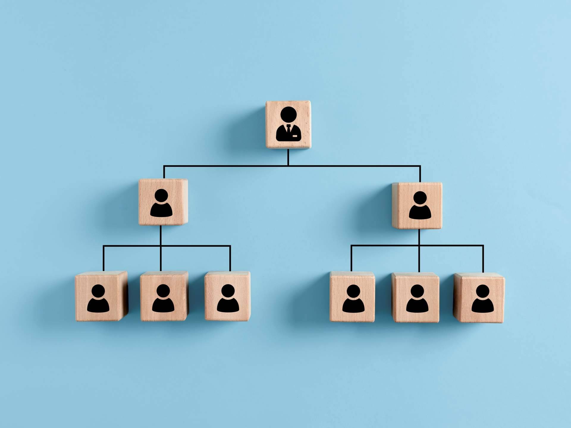 Los tipos de estructura organizacional, por ISOTools