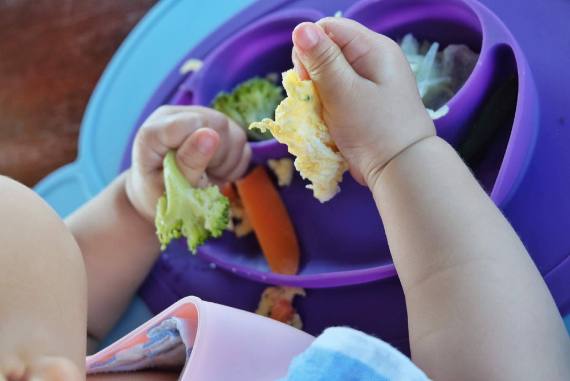 Todo acerca del destete para madres primerizas, con La Teta Que Alimenta