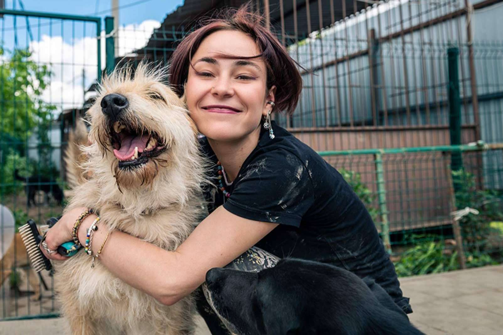 La contratación de seguros para perros se ve incentivada por la Ley de Bienestar Animal