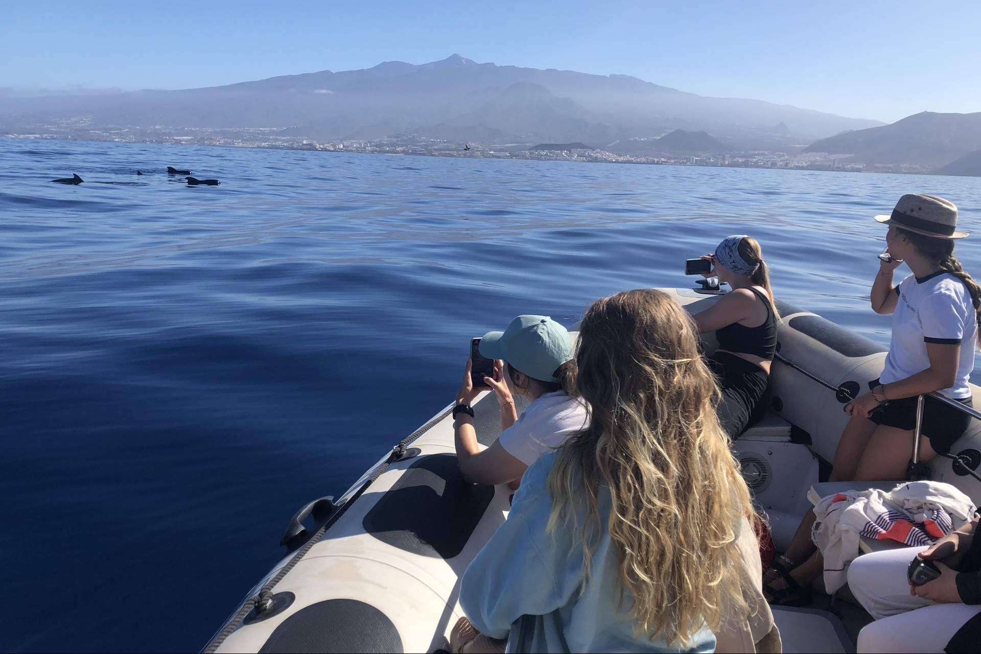 Biosean genera información clave para la investigación de la ballena piloto en Tenerife