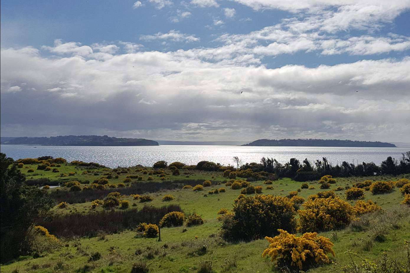 Chiloé, una tierra llena de oportunidades, de la mano de Latitudes Australes