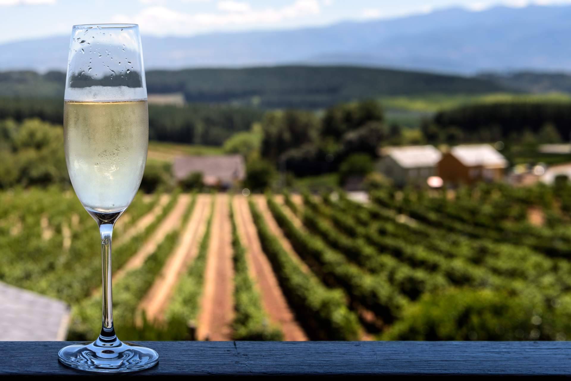 Los cavas y vinos ecológicos de Naturelovers Wines