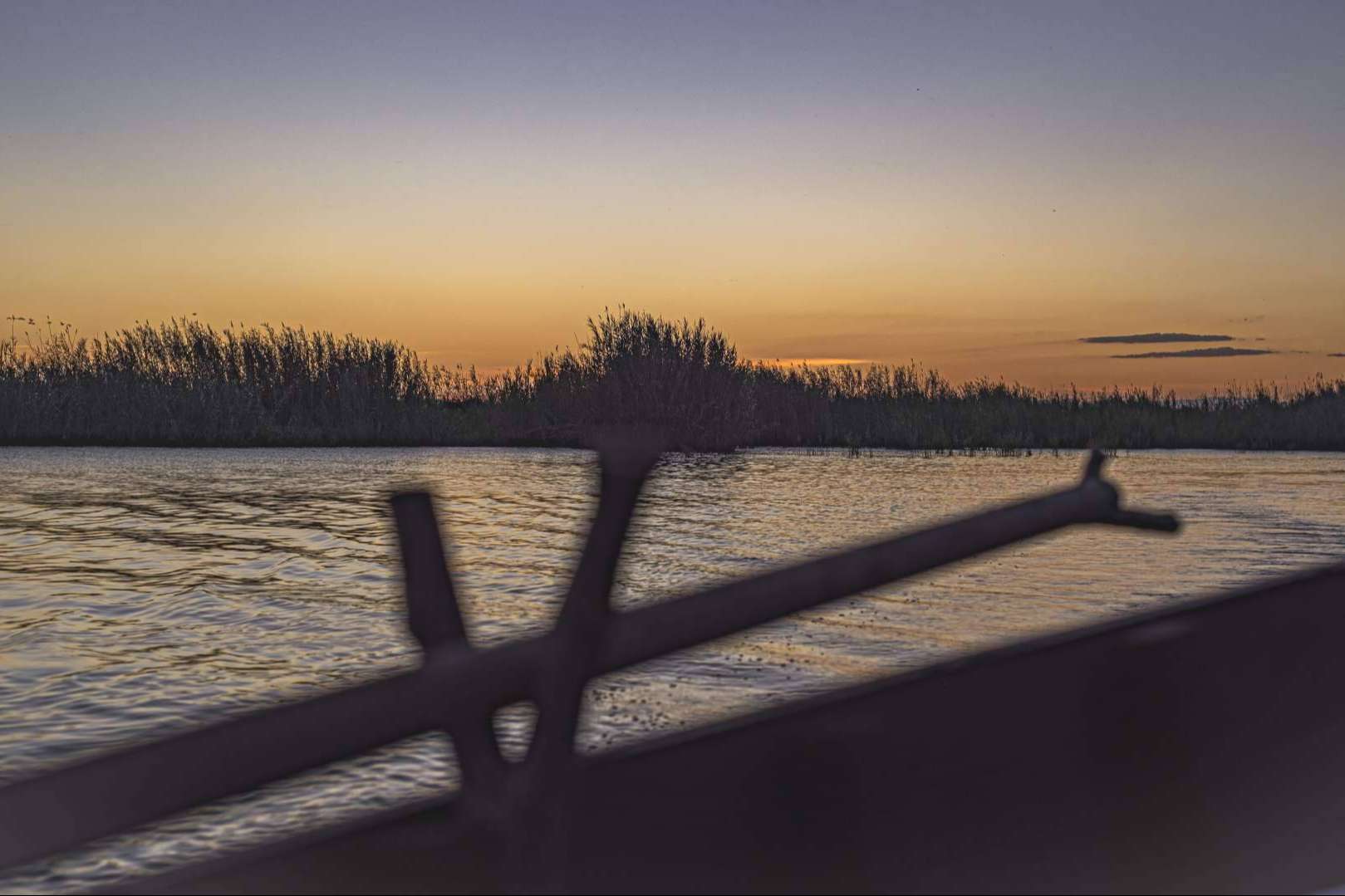 Albumar ofrece paseos en barca por la Albufera desde El Palmar