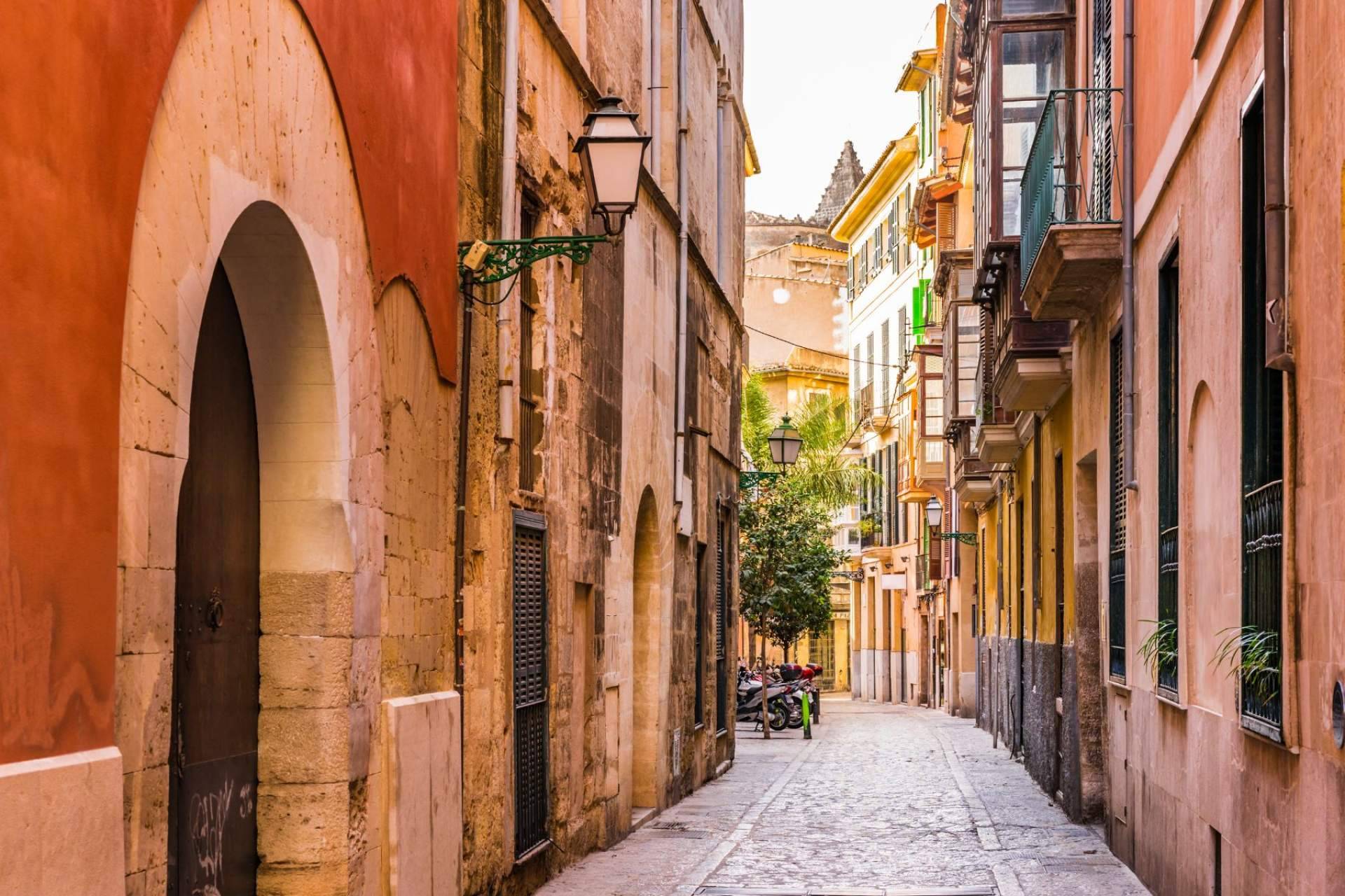 ClickFurgos, el servicio de alquiler de furgonetas en Mallorca para hacer mudanzas