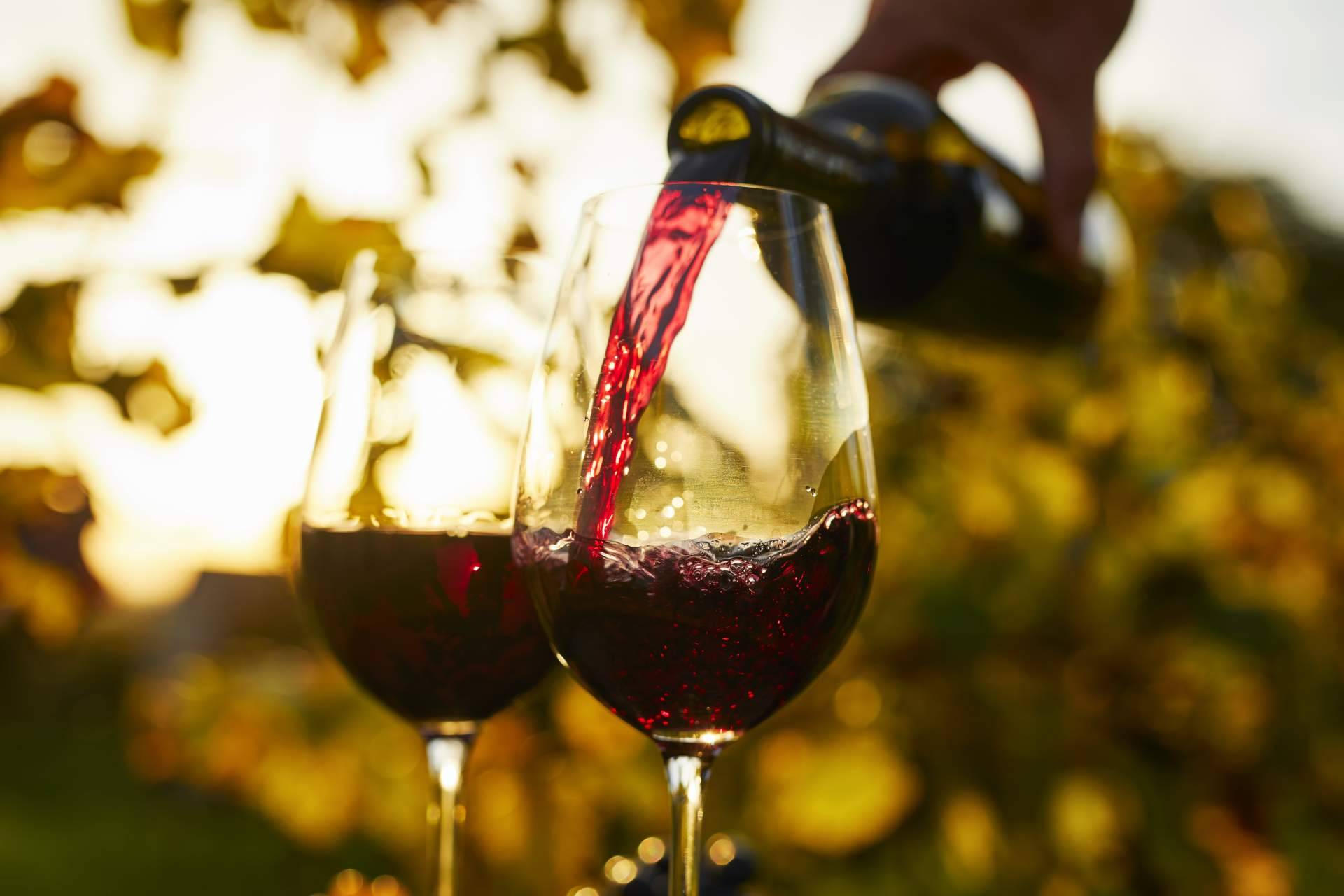 El hotel Terra Dominicata se distingue por su propuesta de cata de vino