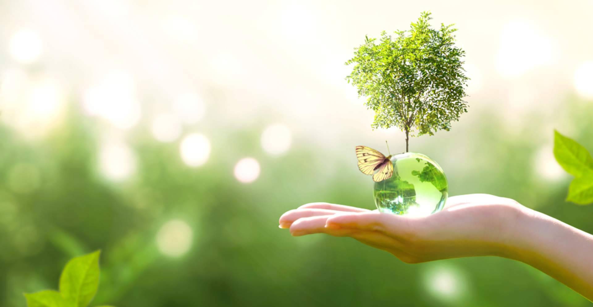Biocool, alternativa ecológica de climatización