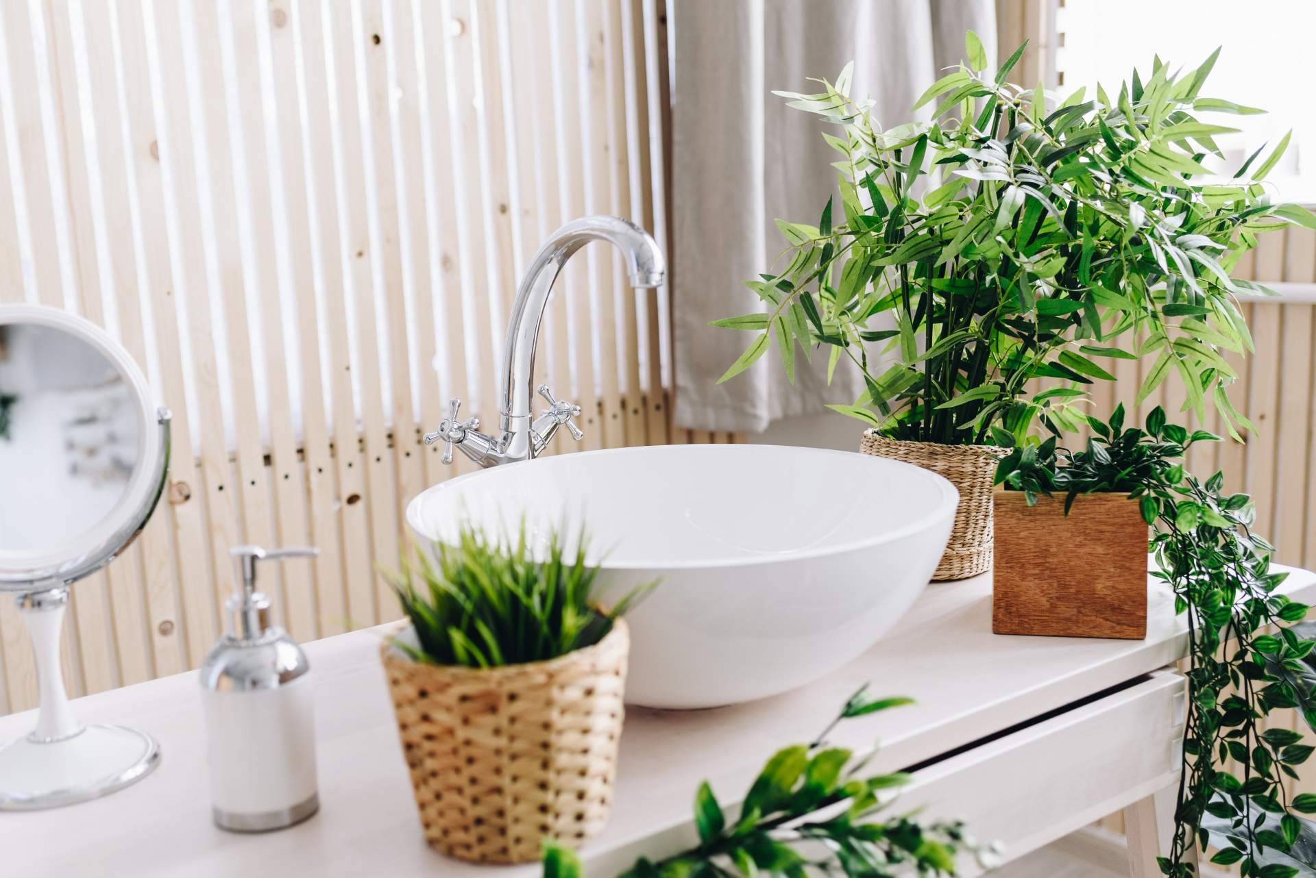 Black Friday, la oportunidad perfecta para comprar plantas artificiales en JardinVertical.es