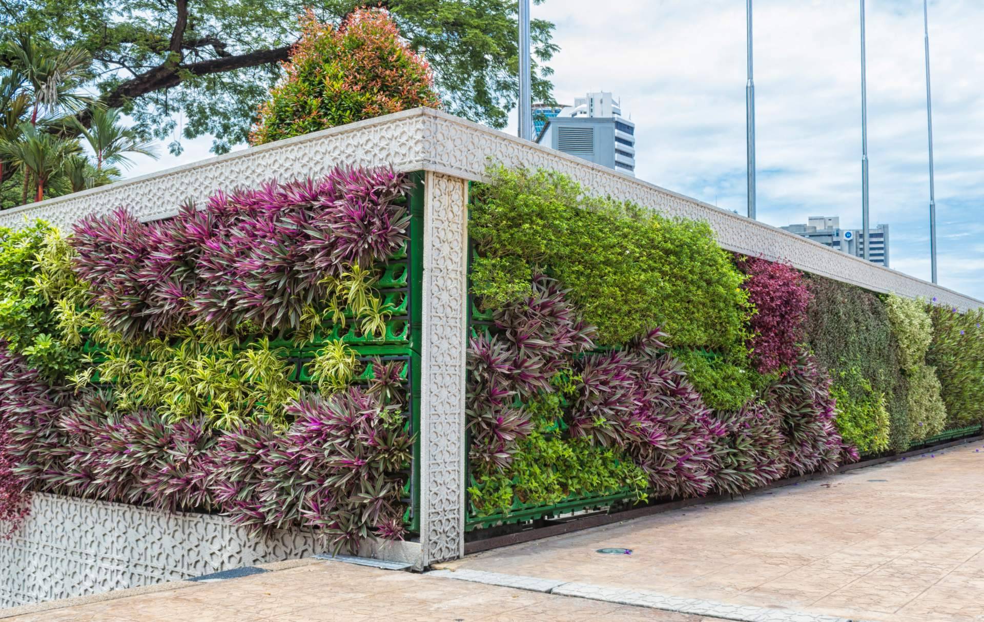 El momento ideal para transformar espacios con JardinVertical.es es el Black Friday