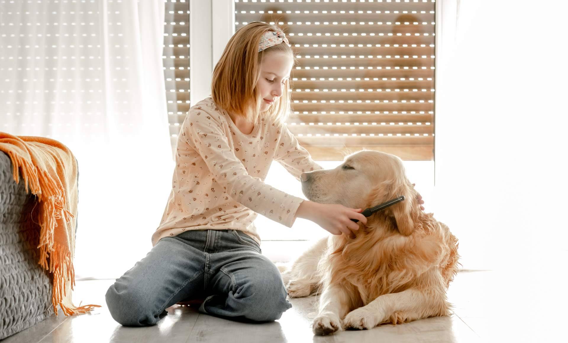 Variedad de comida para perros de la mano de Era Pet Food para una dieta sana y equilibrada
