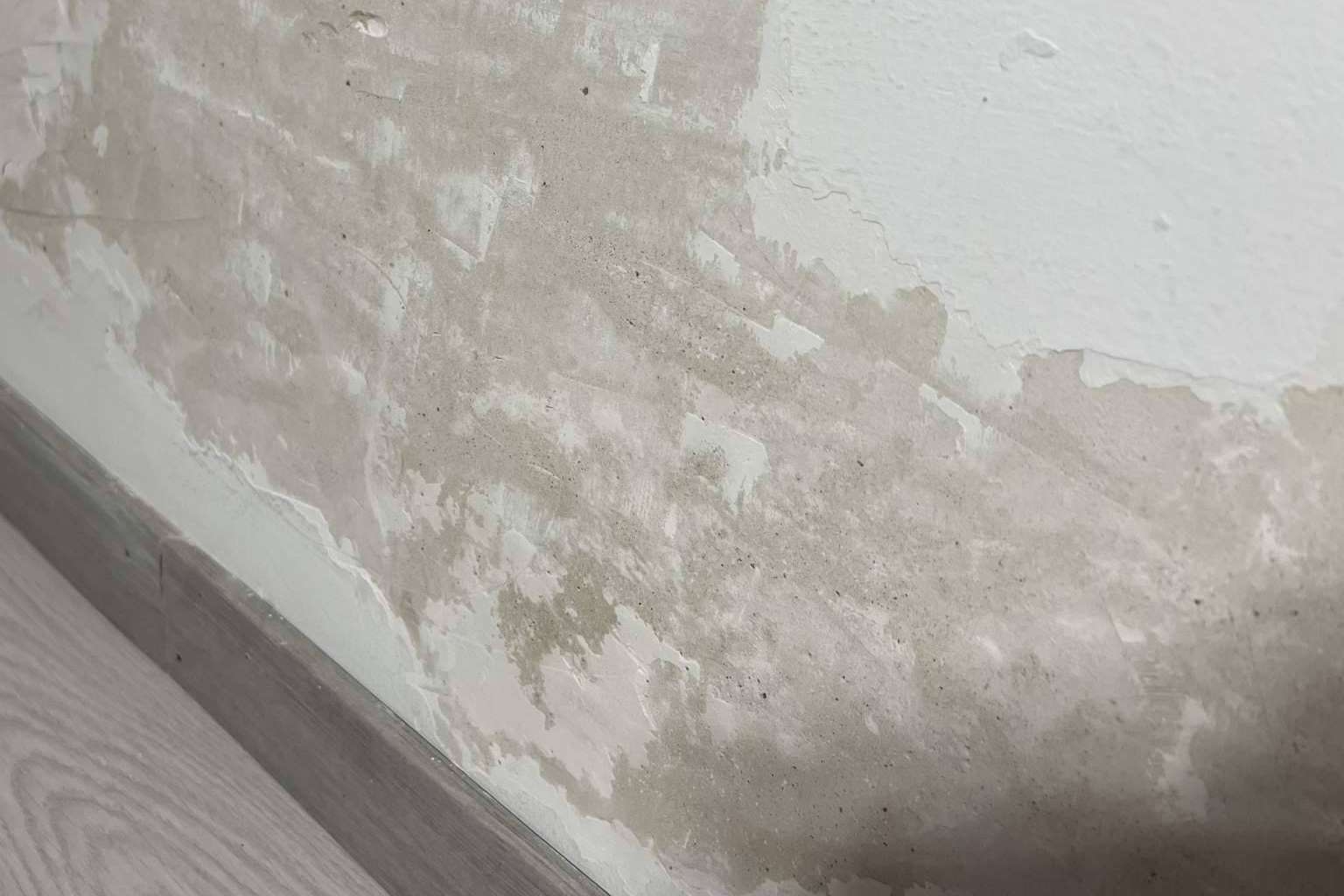Preactiva sobre cómo quitar la humedad de la pared