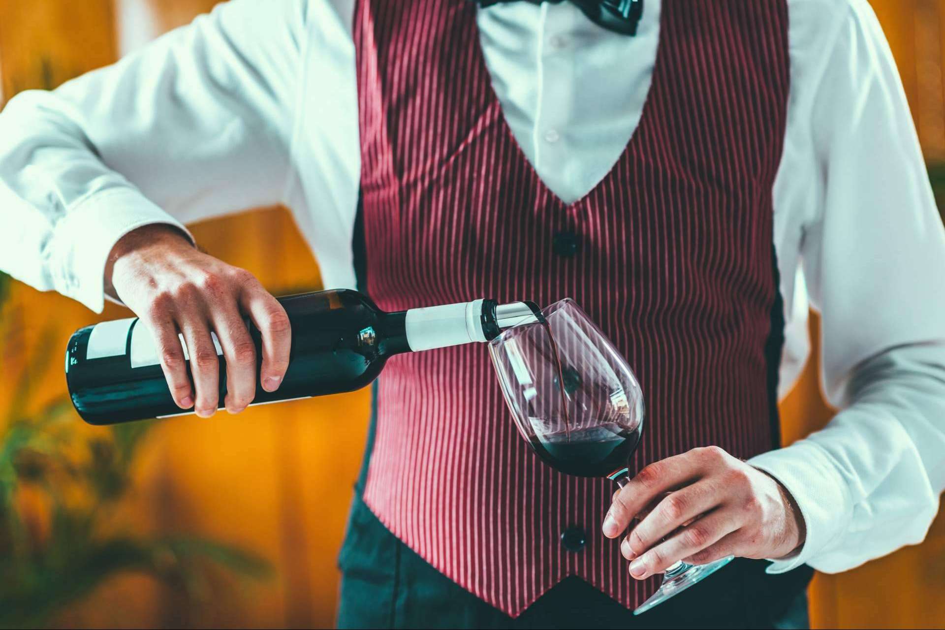 Diccionario enciclopédico completo de cocina amateur y profesional en español