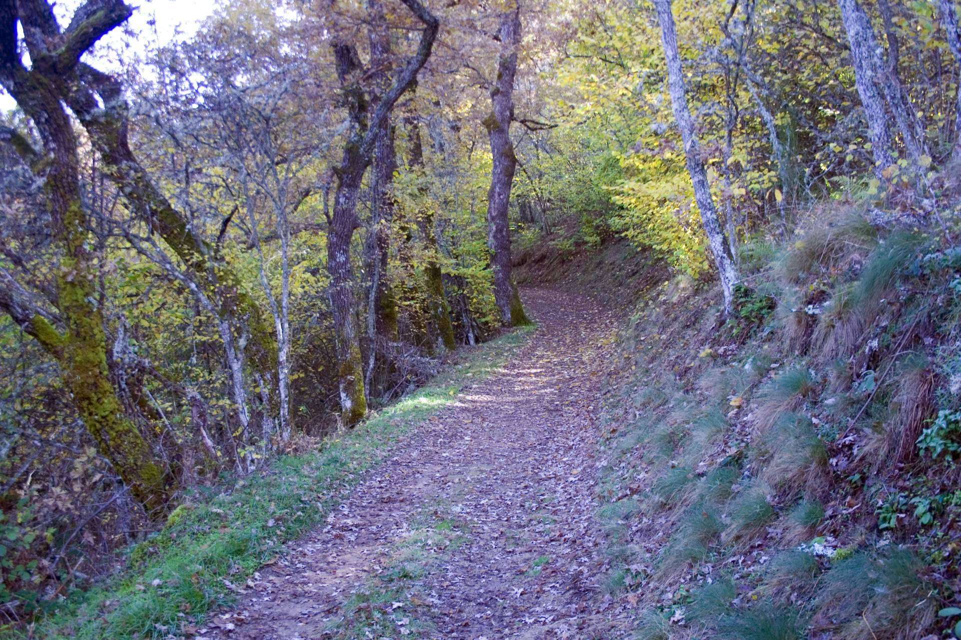 Centro de Rutas en Sanabria y Carballeda, una amplia variedad de rutas para MTB y senderismo