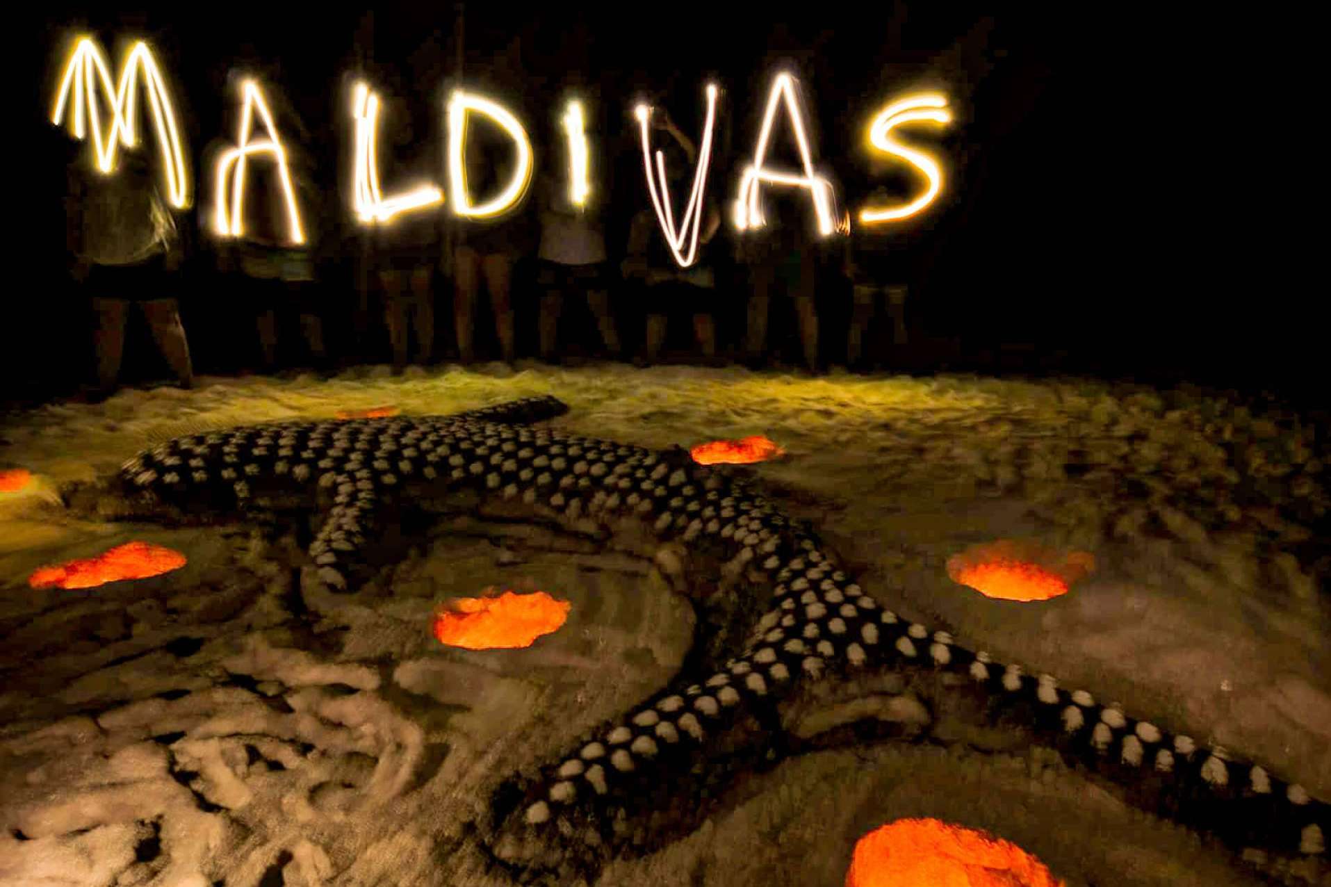 Disfrutar de cruceros de buceo por Maldivas con Drop Dive Maldives
