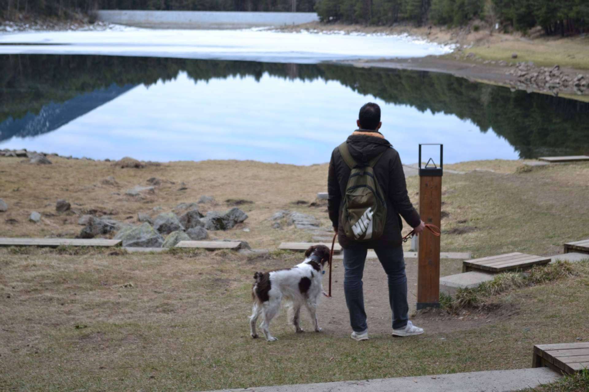 Víctor Laborda revoluciona el mundo canino con Adiestrando Respeto; transformación de perros que no paran de ladrar y tiran de la correa en compañeros modélicos