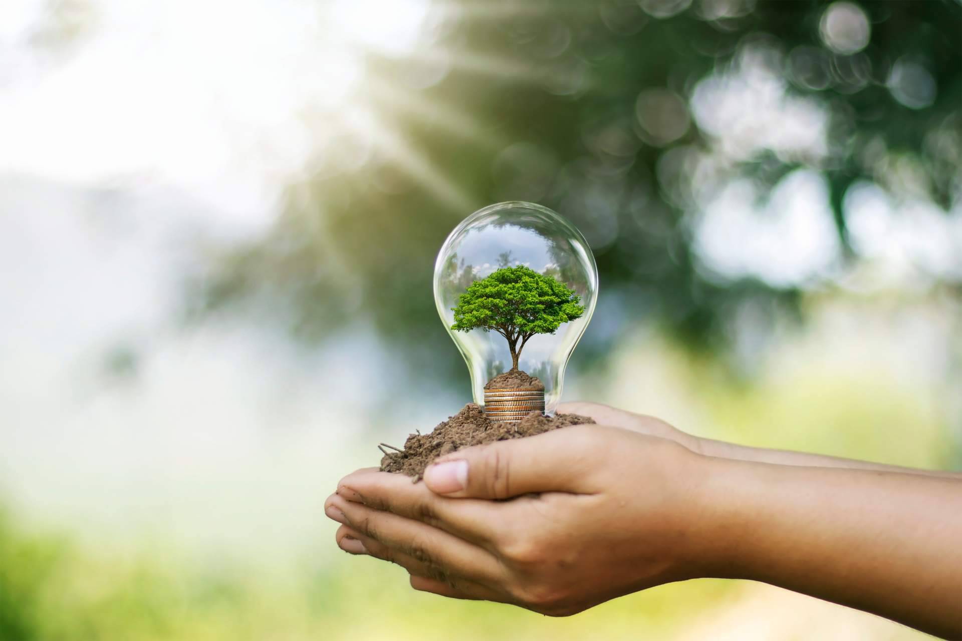El CRM para el sector de la energía de Trebede
