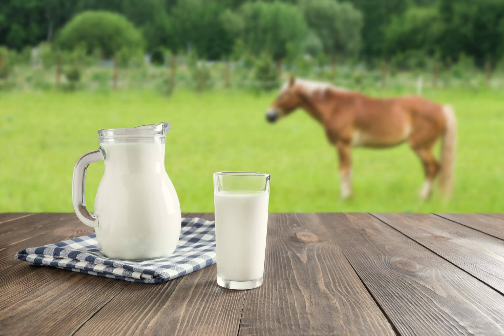 eQuaid presenta nuevas fórmulas que maximizan los beneficios de la leche de yegua