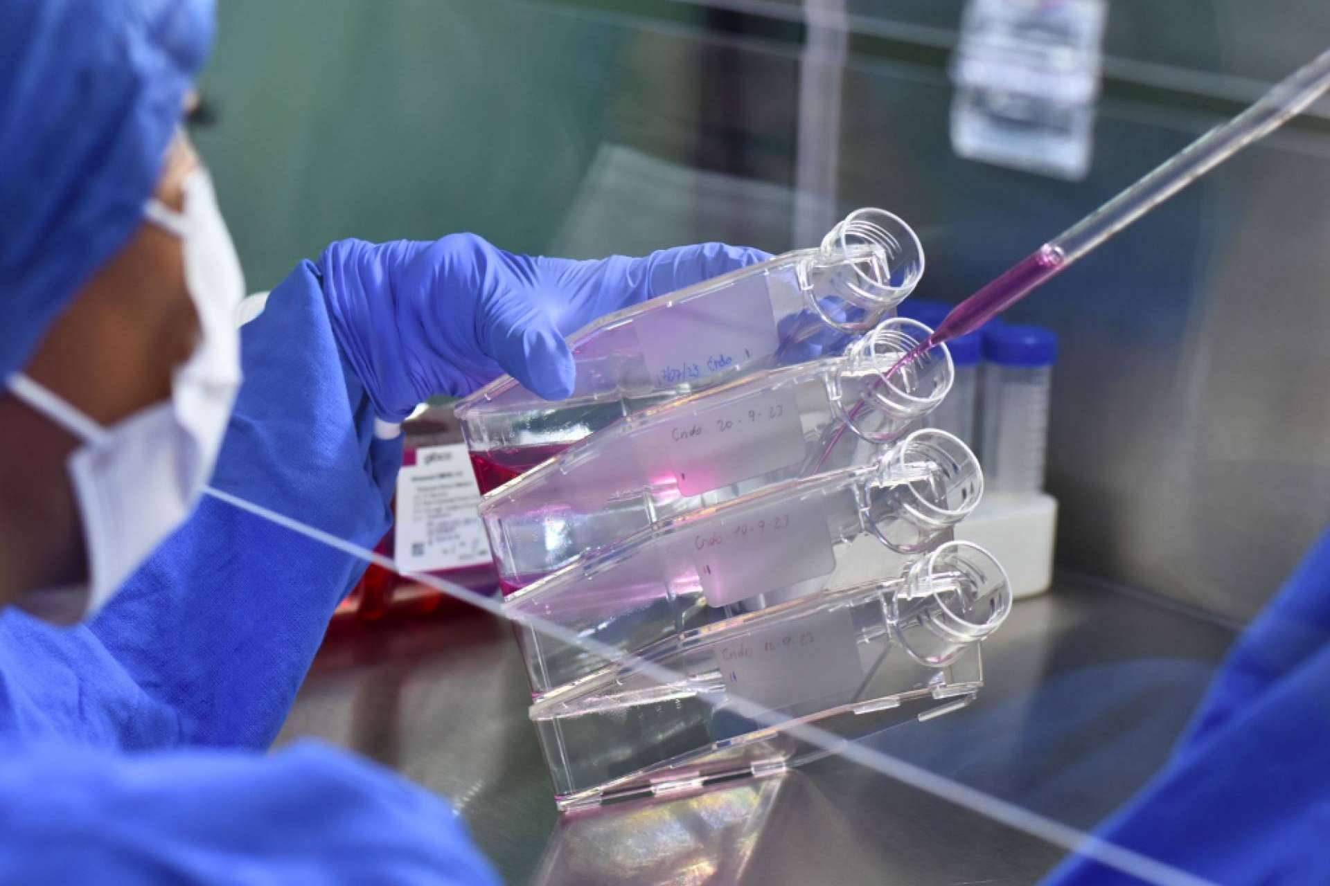 Los especialistas de Immunotherapy Regenerative Medicine&#x2122; ofrecen terapia celular y medicina regenerativa