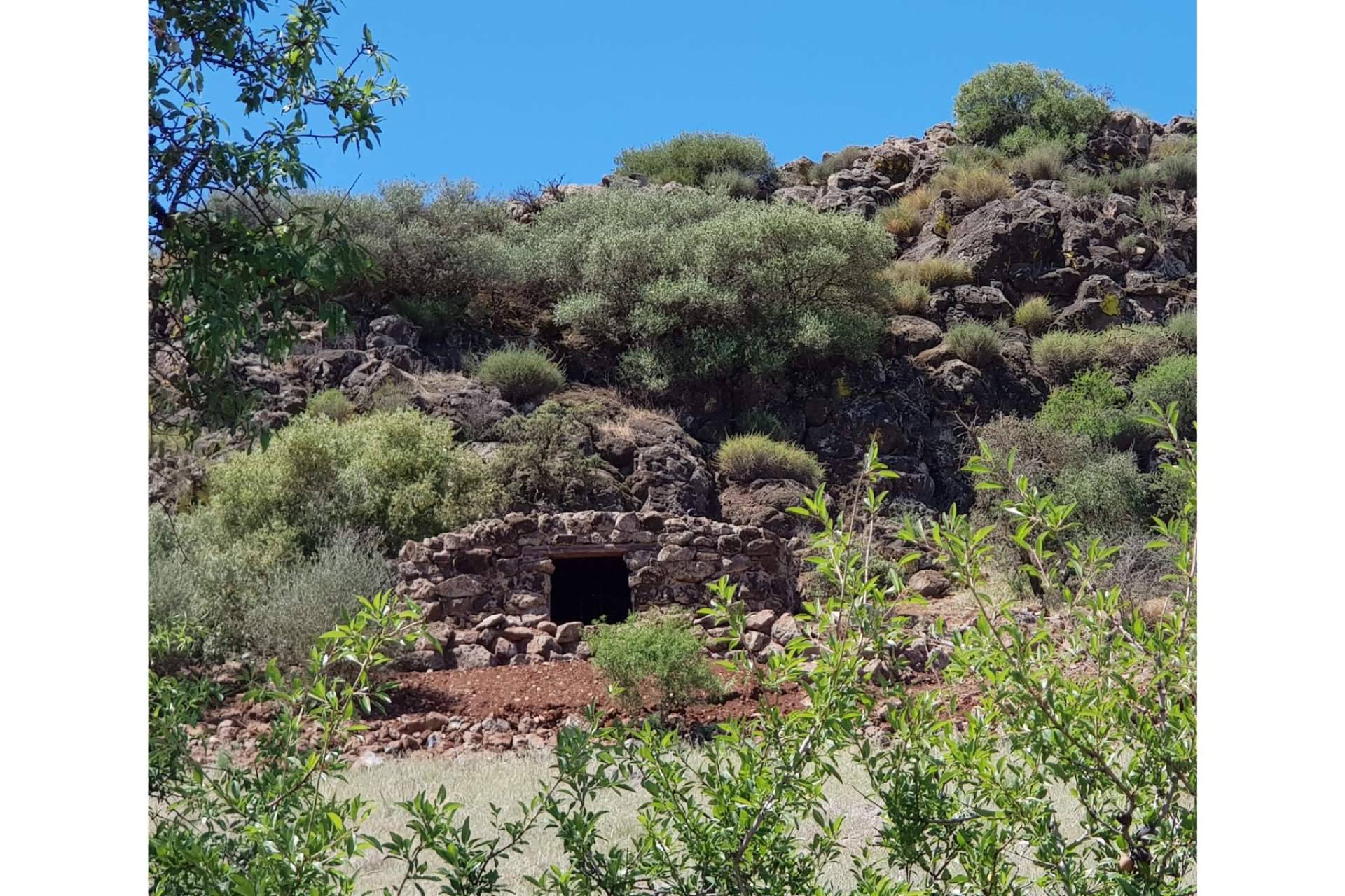 La presentación de un vino único de Encomienda de Cervera; crianza en Gruta Volcánica libre de contaminación electromagnética