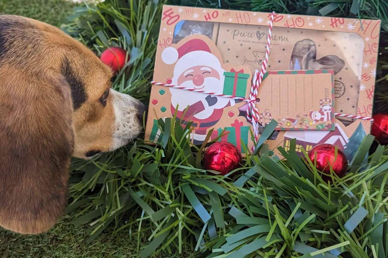 El regalo de navidad perfecto para un perro con NaturWild
