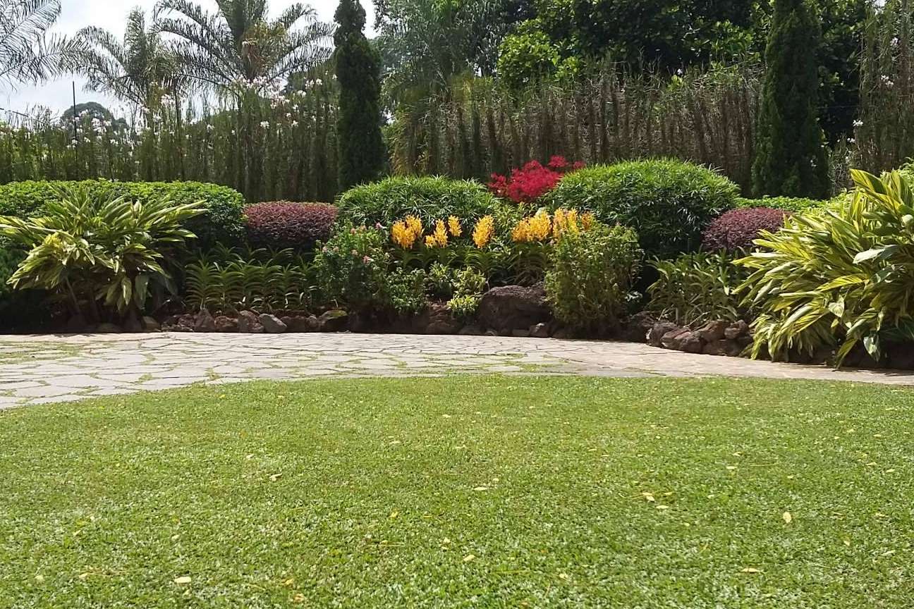 Gramigreen, profesionales en la producción de césped, gramón para jardines