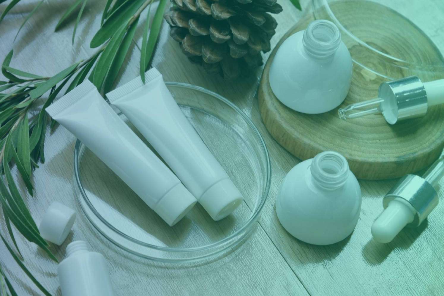 Amazon es el nuevo gigante del cuidado personal y belleza