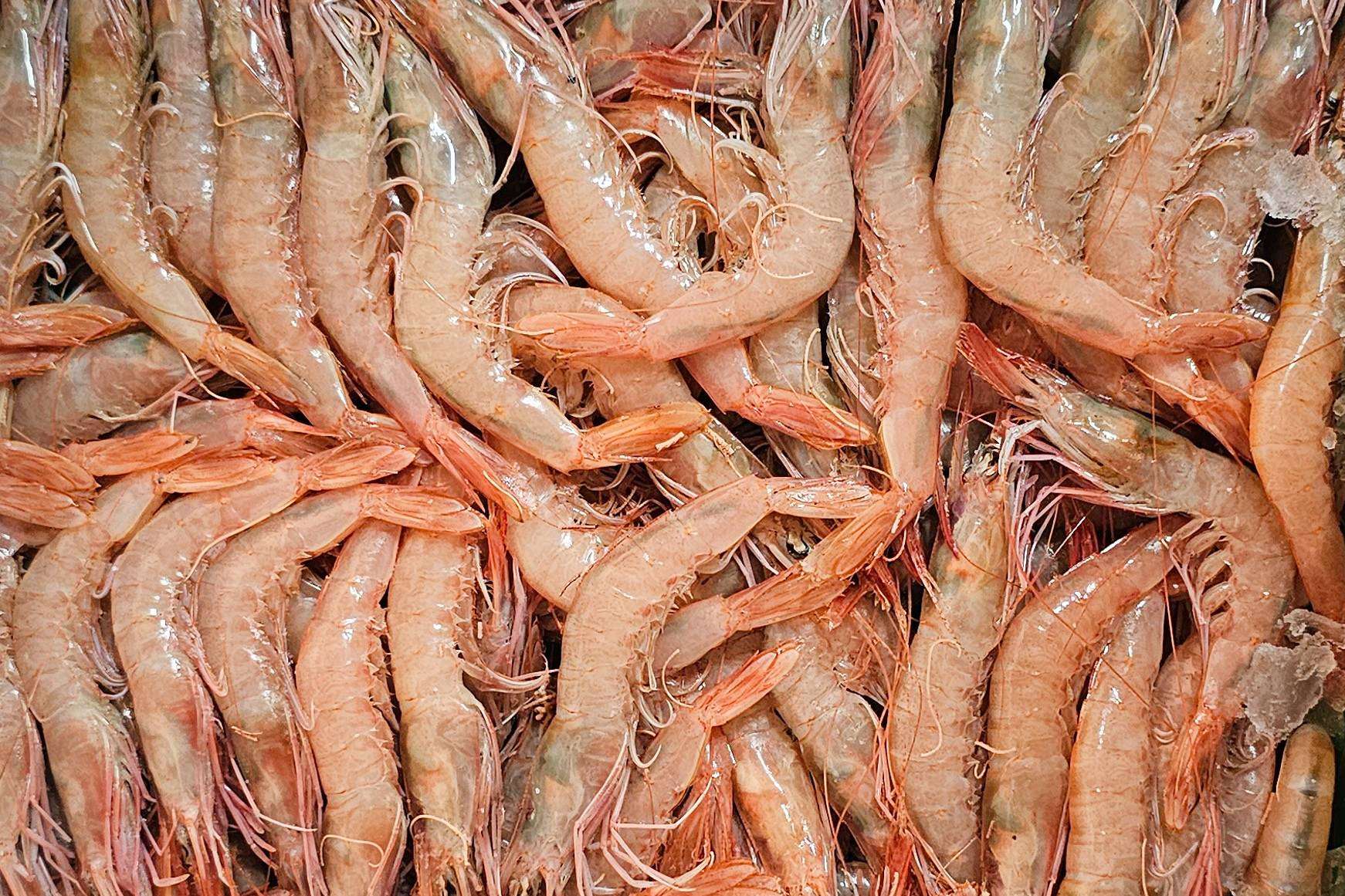 Comprar online gamba blanca de Huelva, de Lonja de Ayamonte