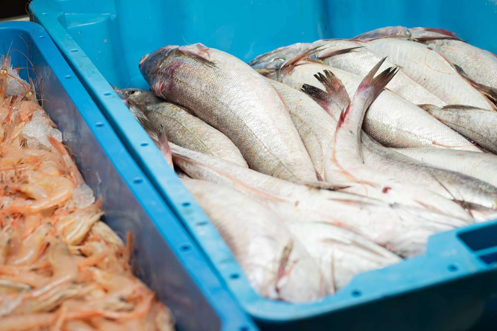 Lonja de Ayamonte vende pescado y marisco fresco en España