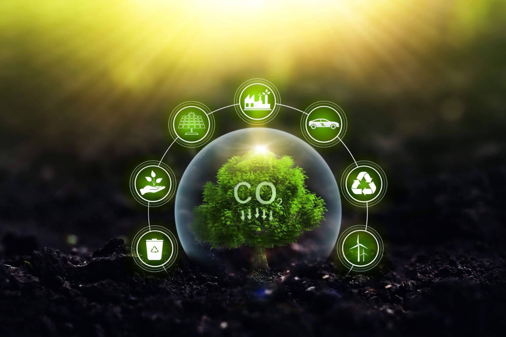 En un 90 % desde 2019, Multienergía Verde reduce su huella de carbono