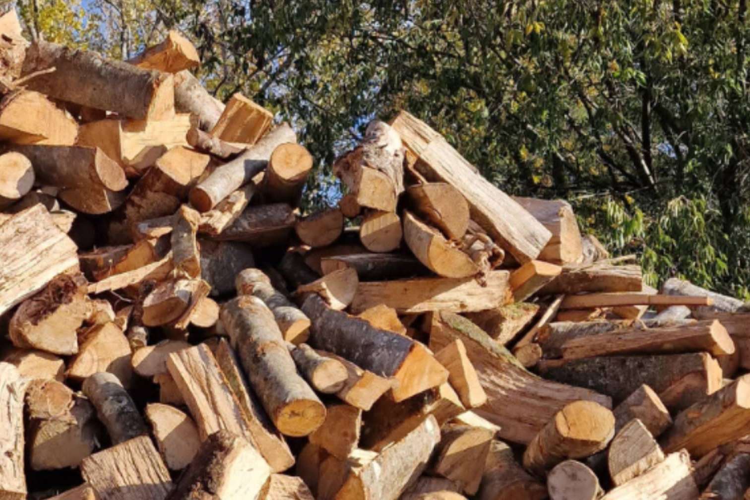 Llenyes i Carbons Polinyà, distribuidores de diferentes tipos de leñas para restauración
