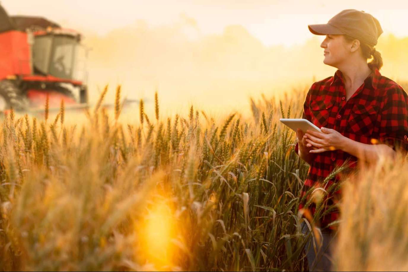 Los cuadernos de explotación de Certitec como soluciones específicas para el sector agropecuario