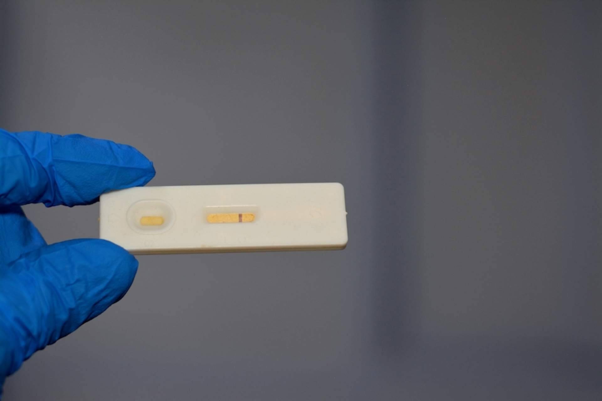 Las gonadotropinas y su función en los tratamientos de fertilidad, por el Dr. Guillermo Gauthier