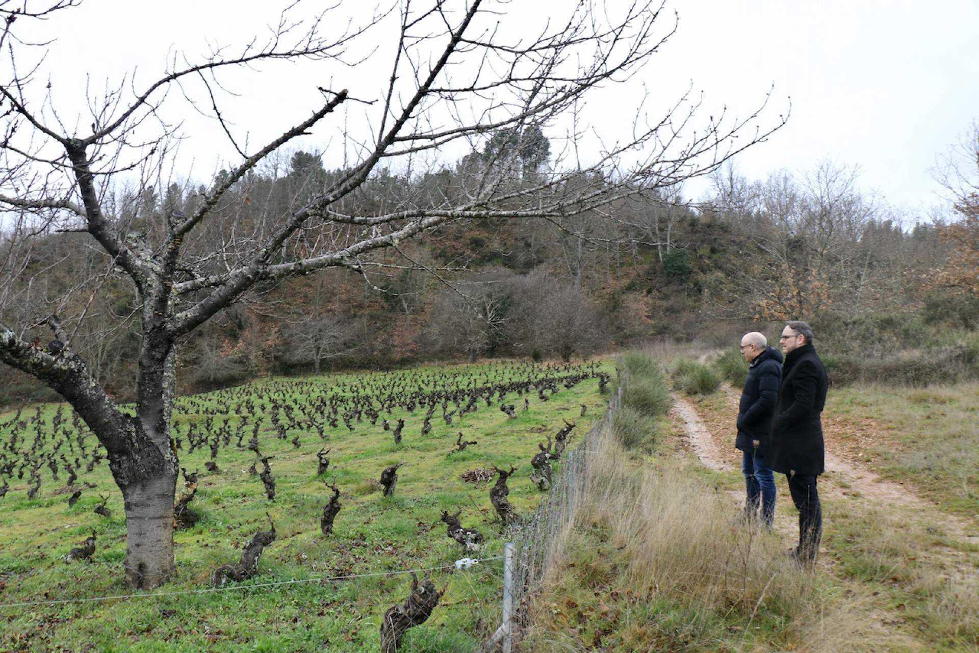 Agustín Trapero, Mejor Sumiller Español del Año 2023, recorre los viñedos del Bierzo con Gancedo