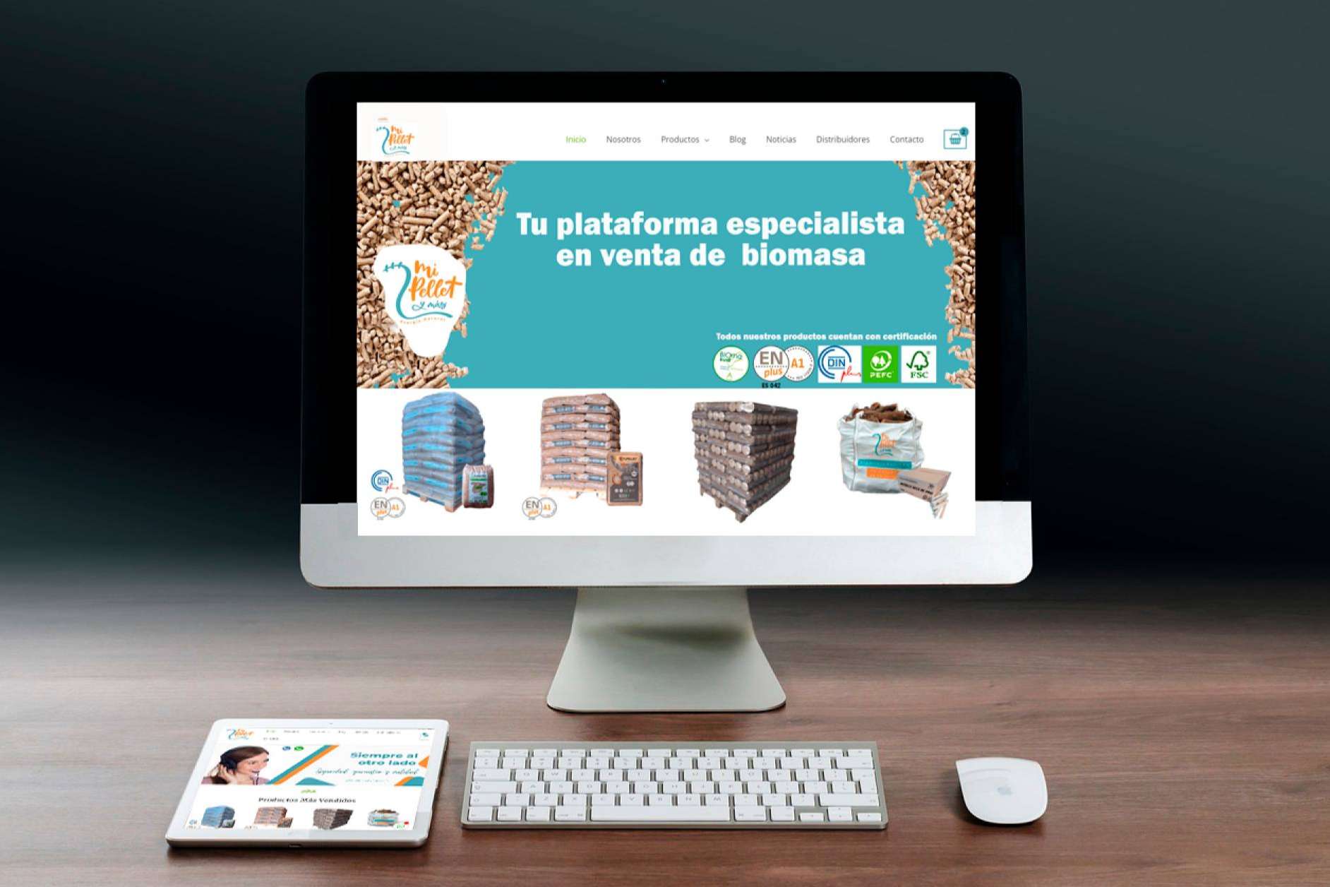 Optar por una calefacción más económica, con Mipelletymas.com