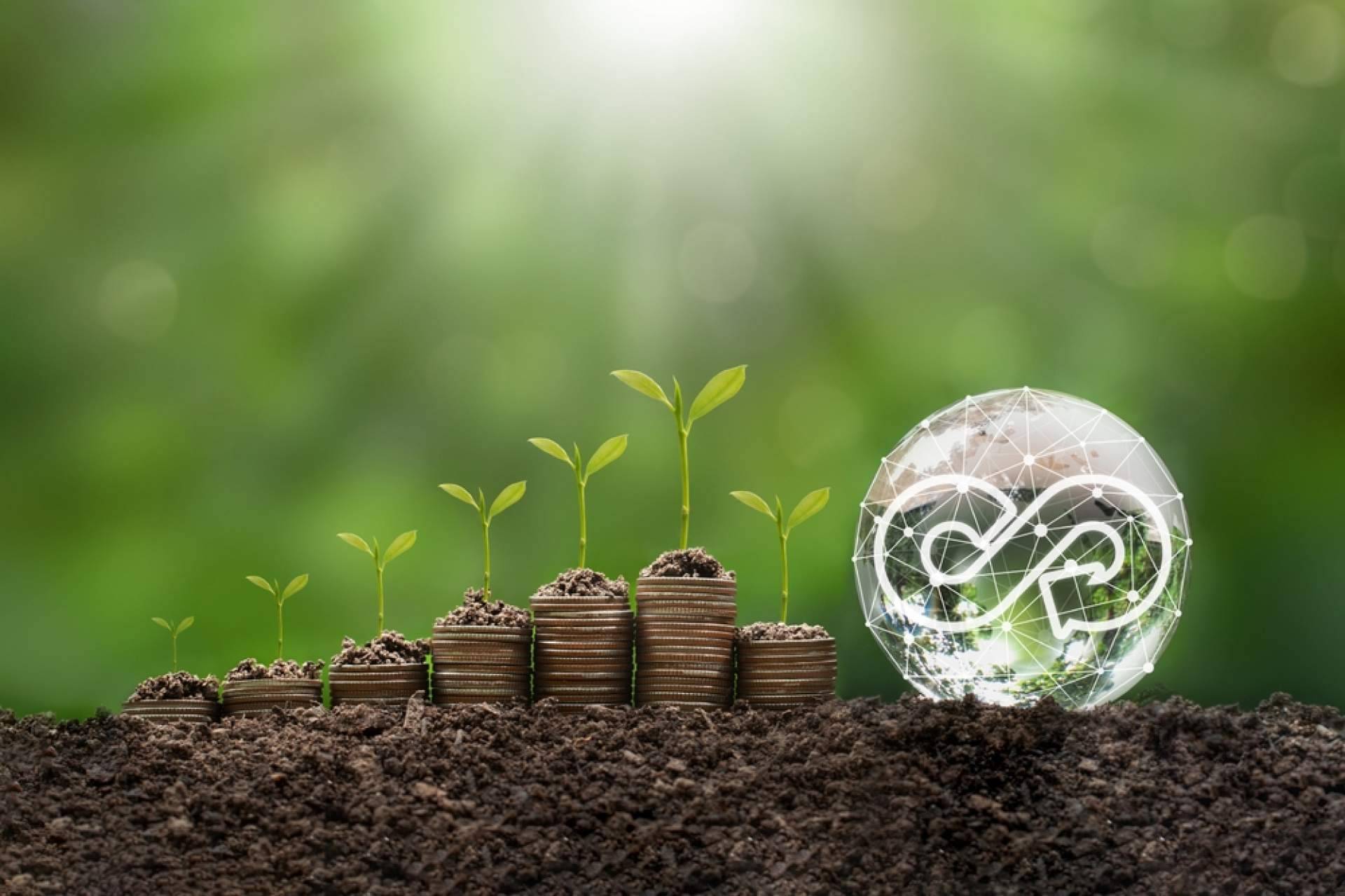 Ahorrar en la factura de la luz es posible gracias a Ahorro Direct