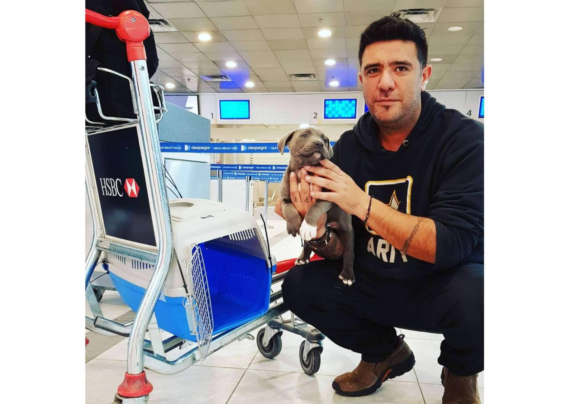 Pet World Travel, una gran solución para el transporte de mascotas a nivel nacional e internacional