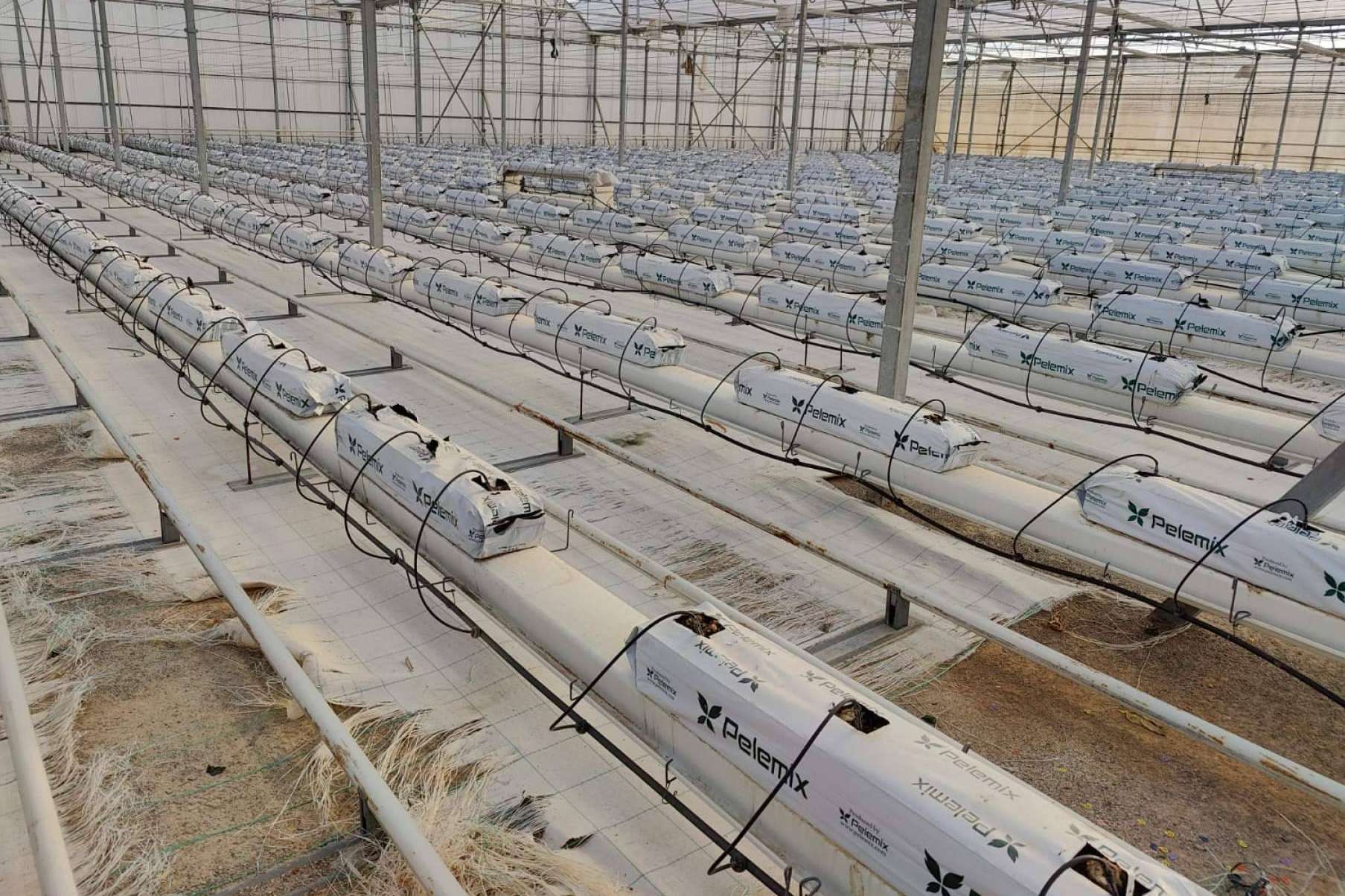 Agricultura sostenible con la empresa Pelemix. Los cultivos hidropónicos para luchar contra la sequía y el medioambiente