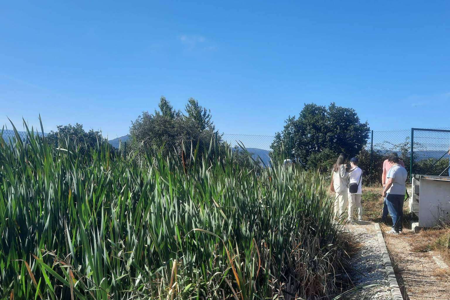 Los humedales, una alternativa medioambiental de reciclaje de aguas residuales, GoldProjects