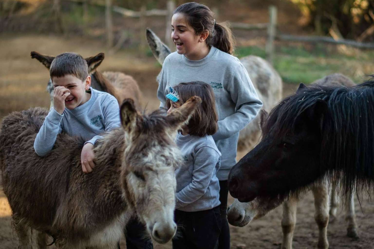 Can Plana es una opción extraordinaria para las familias y escuelas que quieren visitar una granja cerca de Barcelona